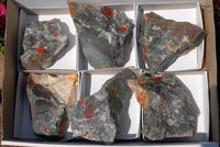 Natural Cobbed Bloodstone Pieces x 6 From Swaziland - TopRock