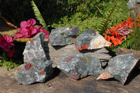 Natural Cobbed Bloodstone Pieces x 6 From Swaziland - TopRock