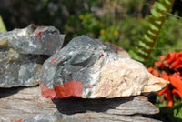 Natural Cobbed Bloodstone Pieces x 6 From Swaziland - TopRock