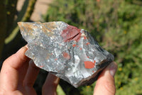 Natural Cobbed Bloodstone Pieces x 6 From Swaziland - TopRock