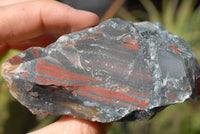 Natural Cobbed Bloodstone Pieces x 6 From Swaziland - TopRock