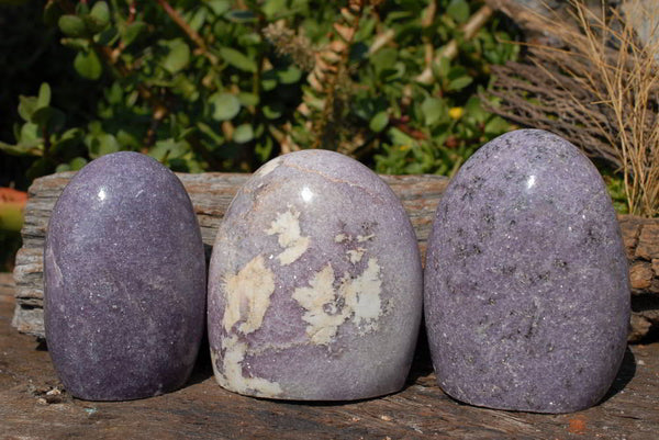 Polished Lepidolite Standing Free Forms x 3 From Madagascar - TopRock