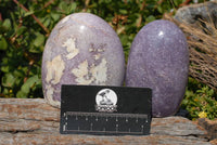 Polished Lepidolite Standing Free Forms x 3 From Madagascar - TopRock