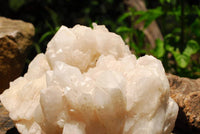 Natural White Castle Quartz Cluster  x 1 From Madagascar - TopRock