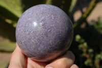 Polished Lepidolite Spheres (One with Indicolite Blue Tourmaline) x 3 From Madagascar - TopRock