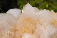 Natural Quartz Crystal Cluster x 1 From Madagascar - TopRock