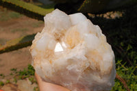 Natural Quartz Crystal Cluster x 1 From Madagascar - TopRock