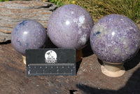 Polished Lepidolite Spheres (One with Indicolite Blue Tourmaline) x 3 From Madagascar - TopRock