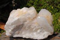 Natural Quartz Crystal Cluster x 1 From Madagascar - TopRock