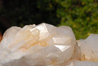 Natural Quartz Crystal Cluster x 1 From Madagascar - TopRock