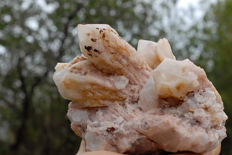 Natural Cascading Pineapple Quartz Clusters With A Hematoid Tint x