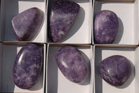 Polished Lepidolite Gallet Free Forms x 6 From Zimbabwe - TopRock