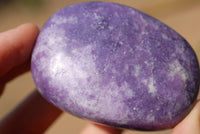 Polished Lepidolite Gallet Free Forms x 6 From Zimbabwe - TopRock