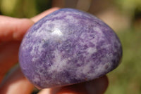 Polished Lepidolite Gallet Free Forms x 6 From Zimbabwe - TopRock