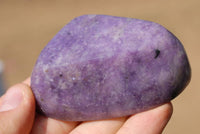 Polished Lepidolite Gallet Free Forms x 6 From Zimbabwe - TopRock