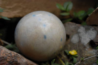 Polished Blue Spotted Spinel Spheres x 2 From Ambatofinadrahana, Madagascar - TopRock