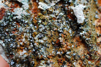 Natural Rare Cooper Phosphate Libethenite On Dolomite Cluster  x 5 From Shituru, Congo - TopRock