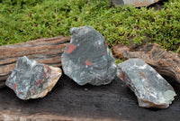 Natural Cobbed Bloodstone Specimens x 3 From Swaziland - TopRock