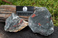 Natural Cobbed Bloodstone Specimens x 3 From Swaziland - TopRock