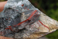 Natural Cobbed Bloodstone Specimens x 3 From Swaziland - TopRock