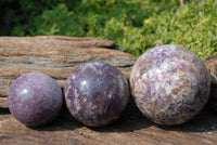 Polished Lepidolite Spheres x 3 From Madagascar - TopRock