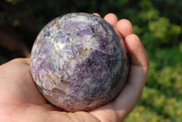 Polished Lepidolite Spheres x 3 From Madagascar - TopRock