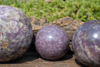 Polished Lepidolite Spheres x 3 From Madagascar - TopRock