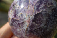 Polished Lepidolite Spheres x 3 From Madagascar - TopRock