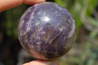 Polished Lepidolite Spheres x 3 From Madagascar - TopRock