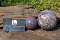 Polished Lepidolite Spheres x 3 From Madagascar - TopRock