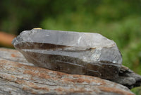 Polished Quartz Crystal & Smokey Quartz Crystals x 19 From Southern Africa - TopRock