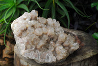 Natural Large Cascading White Phantom Lwena Quartz Cluster x 1 From Lwena, Congo - TopRock