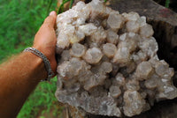 Natural Large Cascading White Phantom Lwena Quartz Cluster x 1 From Lwena, Congo - TopRock