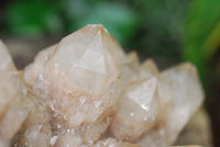 Natural Large Cascading White Phantom Lwena Quartz Cluster x 1 From Lwena, Congo - TopRock