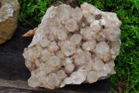 Natural Large Cascading White Phantom Lwena Quartz Cluster x 1 From Lwena, Congo - TopRock