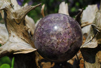 Polished Lepidolite Spheres With Pink Tourmaline x 3 From Madagascar - TopRock