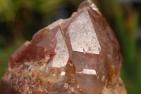 Natural Red Hematoid Quartz Cluster Cut At Base To Stand x 1 From Zimbabwe - TopRock