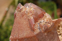 Natural Red Hematoid Quartz Cluster Cut At Base To Stand x 1 From Zimbabwe - TopRock