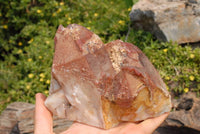 Natural Red Hematoid Quartz Cluster Cut At Base To Stand x 1 From Zimbabwe - TopRock