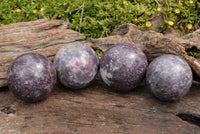 Polished Lepidolite With Pink Tourmaline Spheres x 4 From Madagascar - TopRock