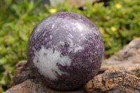 Polished Lepidolite With Pink Tourmaline Spheres x 4 From Madagascar - TopRock