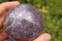 Polished Lepidolite With Pink Tourmaline Spheres x 4 From Madagascar - TopRock