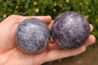 Polished Lepidolite With Pink Tourmaline Spheres x 4 From Madagascar - TopRock