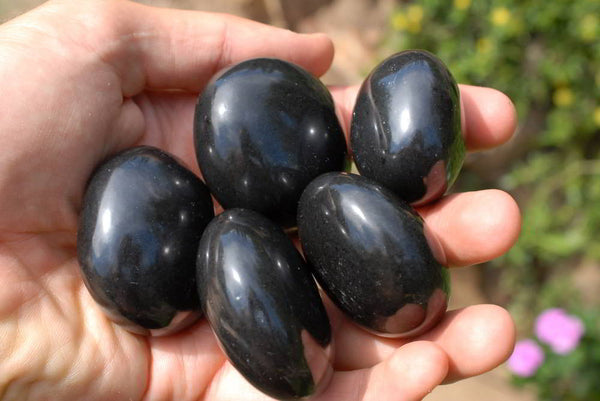 Polished Black Basalt Gallets x 25 From Madagascar - TopRock