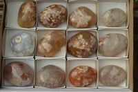 Polished Coral Flower Agate Gallets x 12 From Maintirano, Madagascar - TopRock