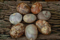 Polished Coral Flower Agate Gallets x 12 From Maintirano, Madagascar - TopRock