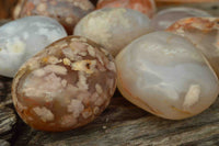 Polished Coral Flower Agate Gallets x 12 From Maintirano, Madagascar - TopRock