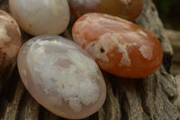 Polished Coral Flower Agate Gallets x 12 From Maintirano, Madagascar - TopRock