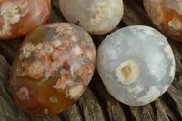 Polished Coral Flower Agate Gallets x 12 From Maintirano, Madagascar - TopRock