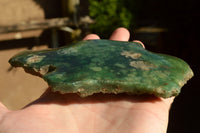 Polished Mtorolite Emerald Chrysophrase Plates x 6 From Zimbabwe - TopRock